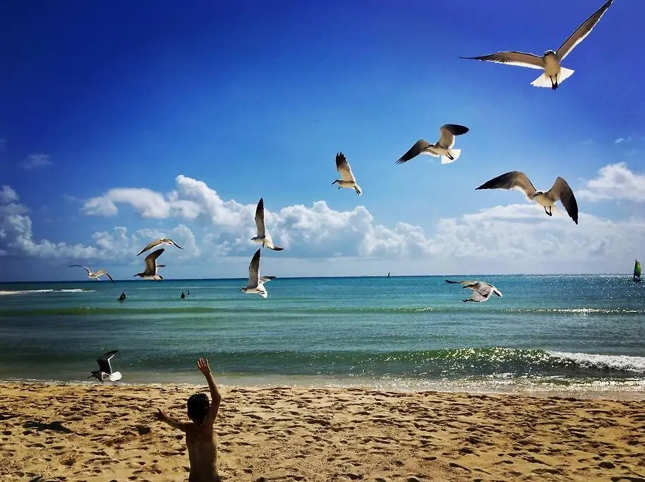 Mayalun Apartment 3C Playa del Carmen